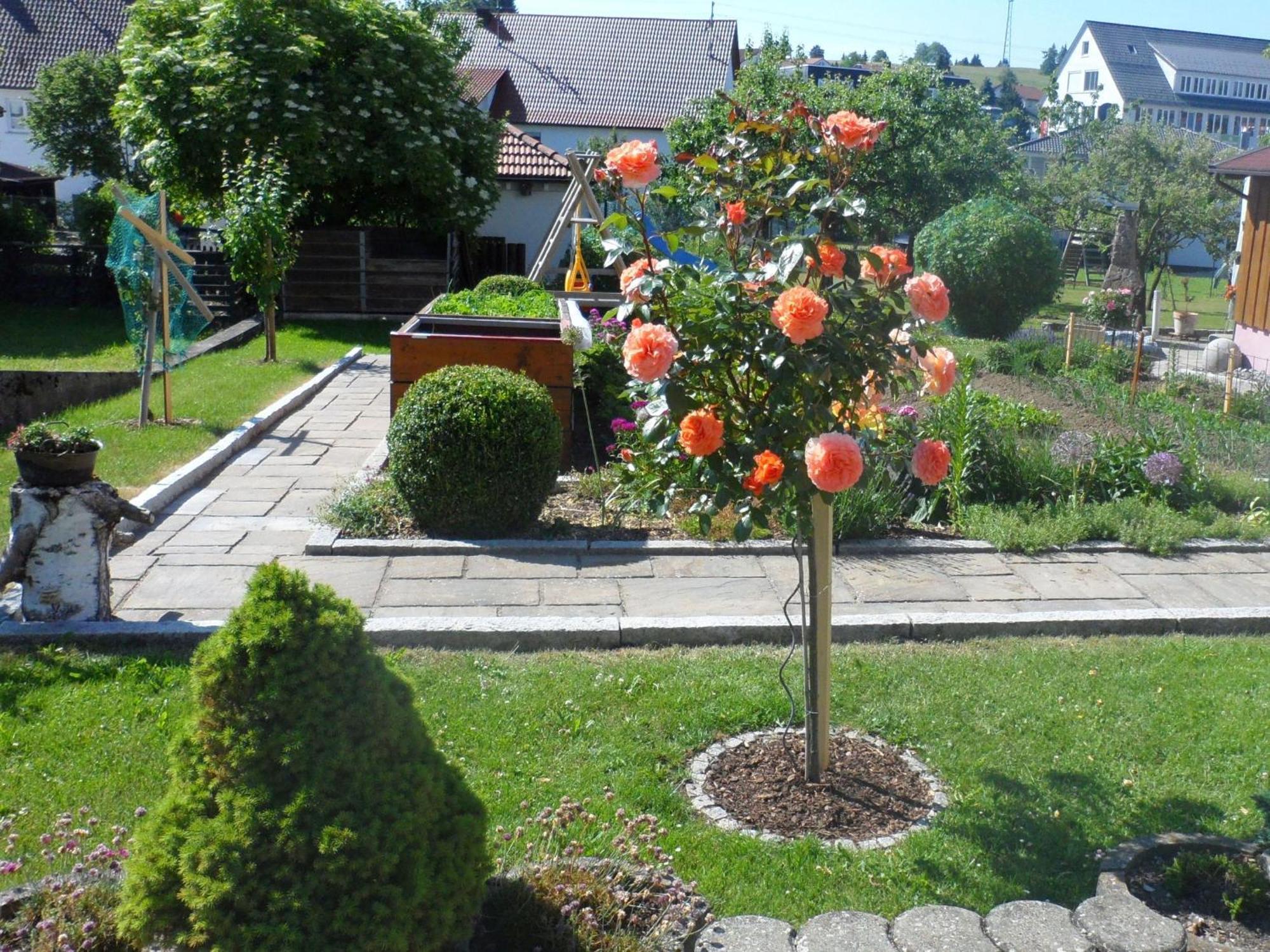 Ferienwohnung Eleonore Messstetten المظهر الخارجي الصورة